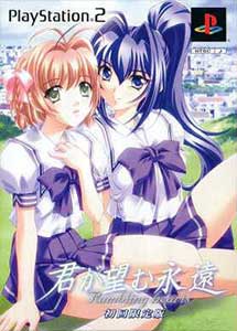 Kimi ga Nozomu Eien (Limited Edition)