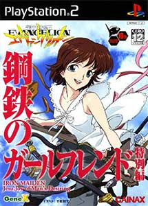 Shinseiki evangelion koutetsu no girlfriend special edition