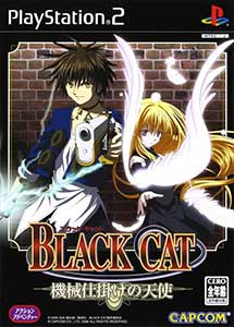 Black Cat